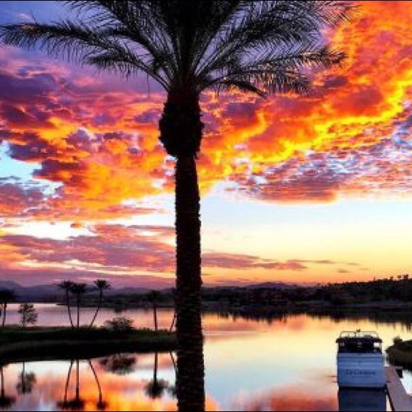 Meet your Posher, Jacob - Picture 1 of 1